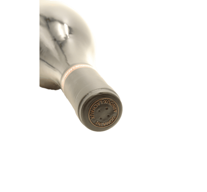 Domaine Arnoux-Lachaux Clos des Corvees Pagets Nuits-Saint-Georges Premier Cru 2017 - 이미지 3