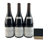 Nuits Saint Georges 'aux Murgers' 1er Cru Meo Camuzet 2008